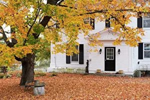 Timber Prints: USA, New England, Vermont, Peacham, a timber clad house in the autumn