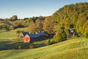 USA, New England, Vermont, Reading, Jenne Farm, autumn, dawn