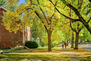 Walk Prints: USA, New England, Vermont, Windsor County, Woodstock