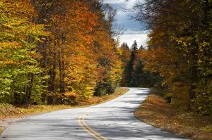USA, New Hamphire, White Mountains National Forest, Bear Notch Road