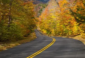 USA, New Hamphire, White Mountains National Forest, Bear Notch Road