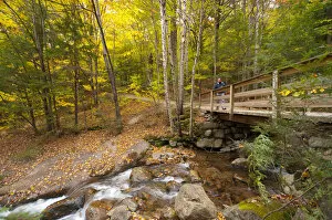 Streams Collection: USA, New Hampshire, Franconia Notch State Park