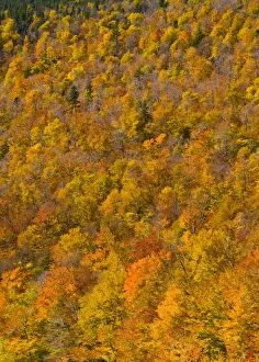 Images Dated 13th February 2009: USA, New Hampshire, White Mountain National Park