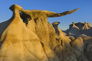 USA, New Mexico, Bisti Wilderness area, Bisti badlands, Wings of Stone