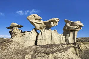 Images Dated 24th November 2021: USA, New Mexico, Bisti Wilderness area, Bisti badlands
