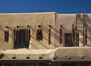 USA, New Mexico, Taos, Drying chillis