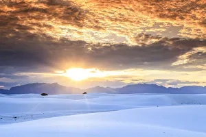 Alamogordo Gallery: USA, New Mexico, White Sands National Monum