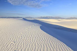 Basin Prints: USA, New Mexico, White Sands National Monument