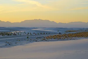 Sands Prints: USA, New Mexico, White Sands National Monument