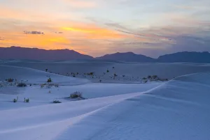 Sands Prints: USA, New Mexico, White Sands National Monument