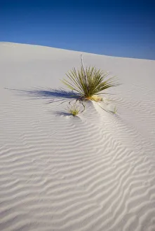 Ripples Prints: USA, New Mexico, White Sands National Monument