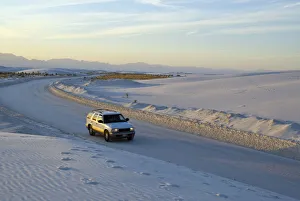 Sands Prints: USA, New Mexico, White Sands National Monument