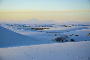 Sands Prints: USA, New Mexico, White Sands National Monument