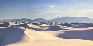 Sand Dunes Prints: USA, New Mexico, White Sands National Monument (MR)