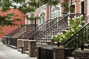 Neighbourhood Prints: USA, New York, Brooklyn, Smith Street, Cobble Hill