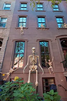 Skeleton Prints: USA, New York City, Halloween decoration along the streets of Manhattan