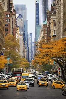 Images Dated 22nd December 2015: USA, New York City, Manhattan, Upper East Side, Madison Avenue