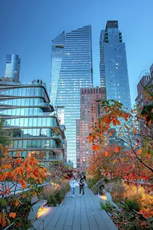 Red Leaves Prints: USA, New York City