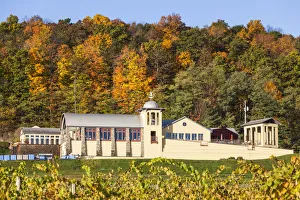 USA, New York, Finger Lakes Region, Hammondsport, Heron Hill Winery, autumn
