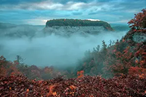 Conservation Prints: USA, New York, Upstate, Livingston and Wyoming Counties, Letchworth State Park, fog