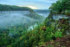 Conservation Prints: USA, New York, Upstate, Livingston and Wyoming Counties, Letchworth State Park
