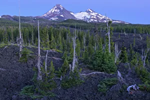 Images Dated 9th August 2017: USA, North America, Cascades, Oregon, McKenzie Pass