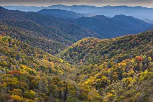 North Carolina Prints: USA, North Carolina, Great Smoky Mountains National Park, autumn panorama from Newfound