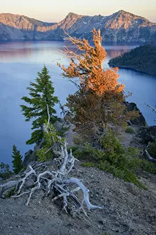 Images Dated 6th August 2020: USA, Oregon, Crater Lake National Park