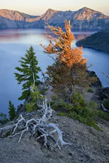 USA, Oregon, Crater Lake National Park