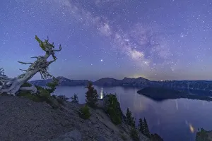 USA, Oregon, Crater Lake National Park, Milky way and pine tree