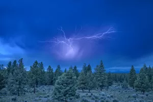 Images Dated 2nd July 2020: USA, Oregon, Deschutes National Forest, Bend, lightning
