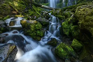 USA, Oregon, Oregon, Willamette National Forest, Proxy Falls