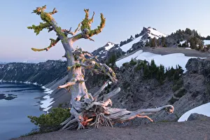 Images Dated 14th July 2020: USA, Pacific Northwest, Cascade Mountains, Oregon, Crater Lake, National Park