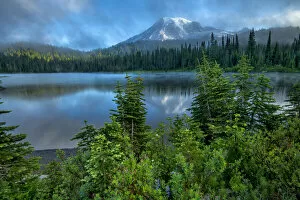 Images Dated 6th August 2020: USA; Pacific Northwest; Washington State, Mount Rainier National Park