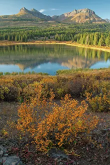 San Juan Prints: USA, Rocky Mountains, Colorado, San Juan National Forest, Little Molas lake