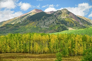 Crested Butte Prints: USA, Rocky Mountains, Colorado, Crested Butte, Autumn