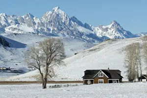 USA, Rocky Mountains, Wyoming, Jackson, National Elk Refuge, Teton peak