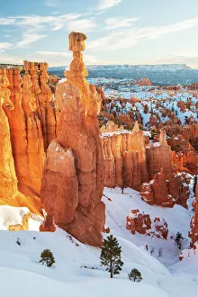 Bryce Canyon Prints: USA, Southwest, Colorado Plateau, Utah, Bryce Canyon, National Park