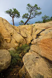 New Mexico Prints: USA, Southwest, New Mexico, El Malpais National Monument