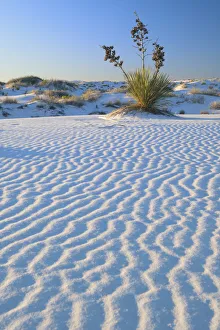 Alamogordo Gallery: USA, Southwest; New Mexico, Otero County, Alamogordo, White Sands National Monument