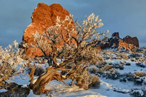 Images Dated 12th February 2020: USA, Southwest, Utah, Moab, Arches National Park