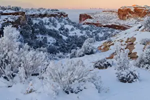 USA, Southwest, Utah, Moab, Canyonlands National Park, Island in the Sky