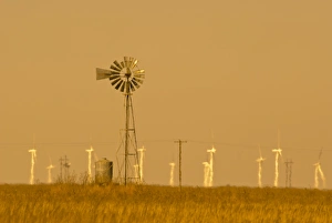 USA, Texas USA, Texas