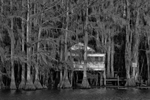 USA, Texas, Caddo lake, swamp hut