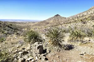 Images Dated 19th May 2022: USA, Texas, El Paso, Franklin Mountains State Park, Aztec Caves Trail, Chihuahuan Desert