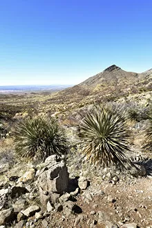 Images Dated 19th May 2022: USA, Texas, El Paso, Franklin Mountains State Park, Aztec Caves Trail, Chihuahuan Desert