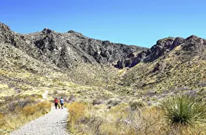 Bordertown Prints: USA, Texas, El Paso, Franklin Mountains State Park, Aztec Caves Trail, Chihuahuan Desert