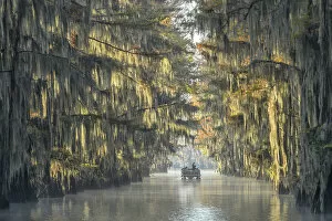 Images Dated 27th January 2023: USA, Texas, Uncertain, Caddo Lake, Government Ditch