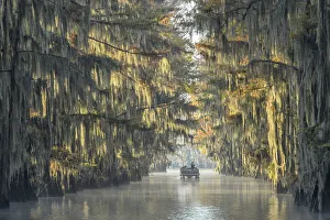 Images Dated 27th January 2023: USA, Texas, Uncertain, Caddo Lake, Government Ditch