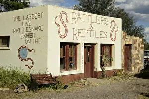USA, Texas, West Texas, Fort Davis, Reptile shop